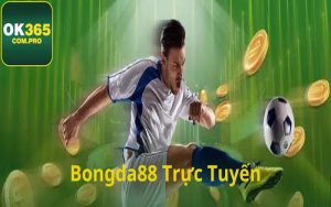 Giới thiệu chi tiết về Bongda88 trực tuyến