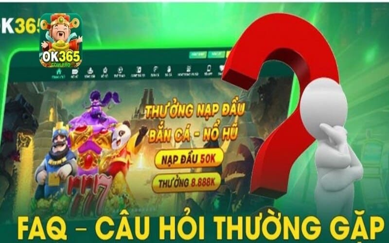 Các câu hỏi thường gặp nhất về giới thiệu OK365