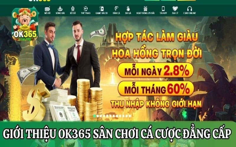 Giới thiệu OK365 sân chơi cá cược đẳng cấp bậc nhất