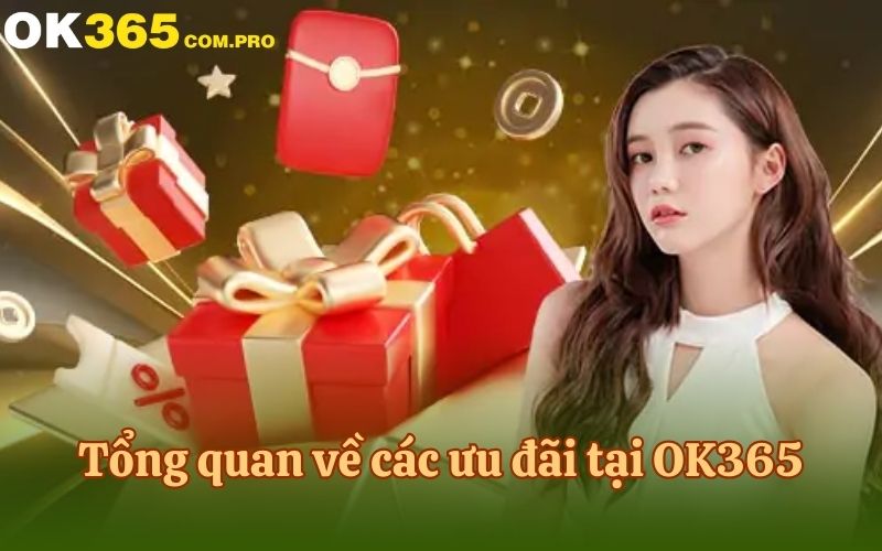 Tổng quan về các ưu đãi tại OK365